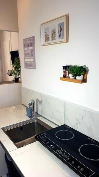 Le Chat Bleu - 26M2- Terrasse Sur Les Toits - Wi-Fi Amiens Zewnętrze zdjęcie